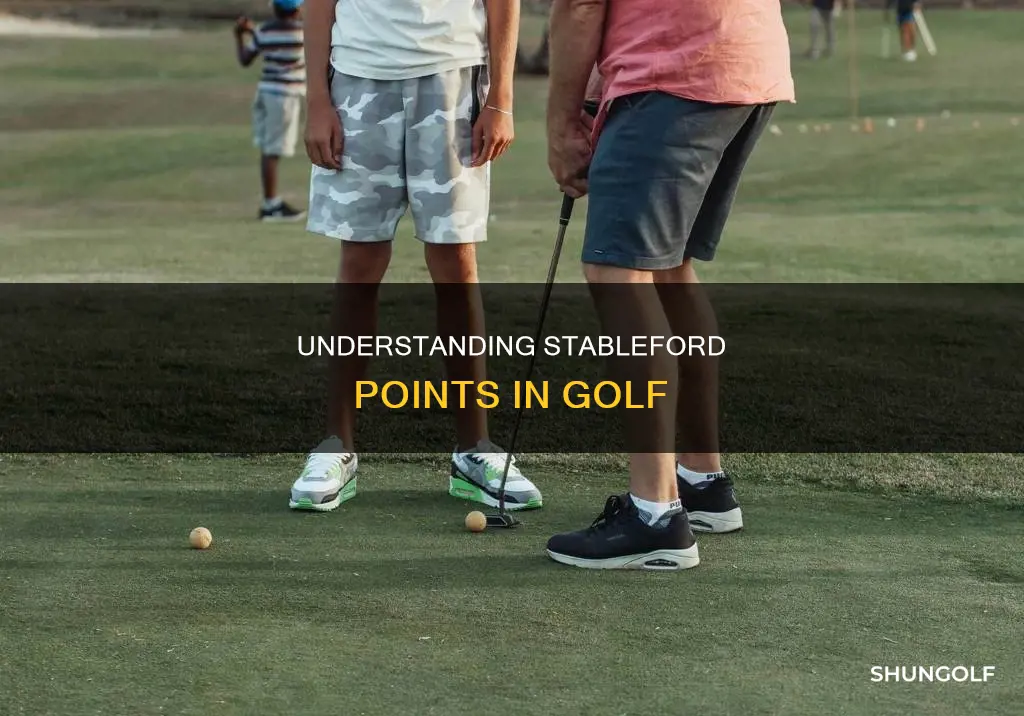 what are stableford points in golf
