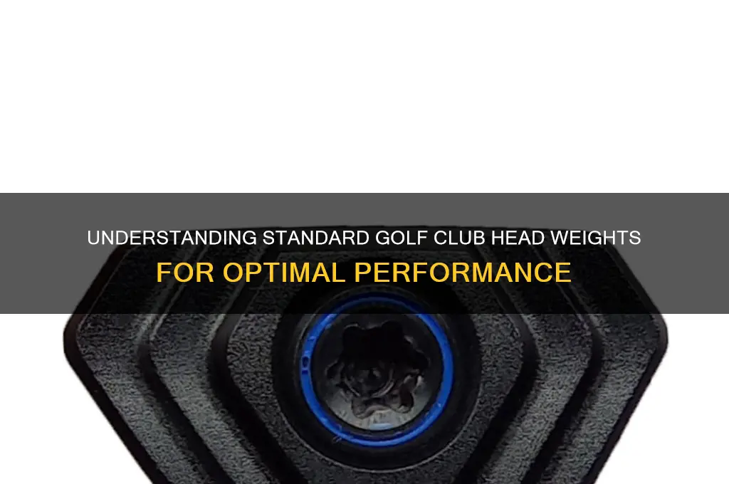 what are standard golf club head weights