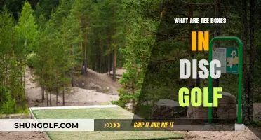Exploring Tee Boxes: The Starting Point of Disc Golf Holes