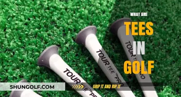 Golf Tees: What Are They and Why Are They Important?