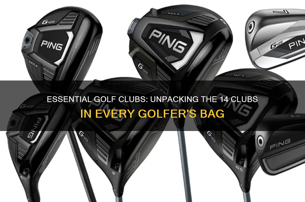 what are the 14 clubs in a golf bag
