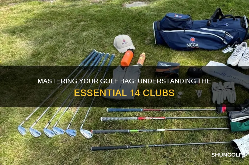 what are the 14 golf clubs