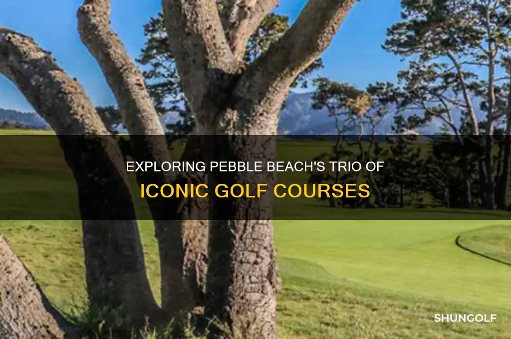 what are the 3 golf courses at pebble beach