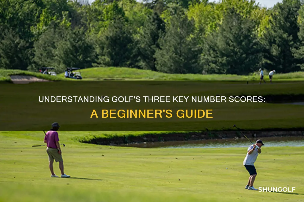 what are the 3 number scores in golf