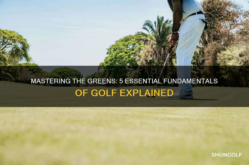 what are the 5 fundamentals of golf