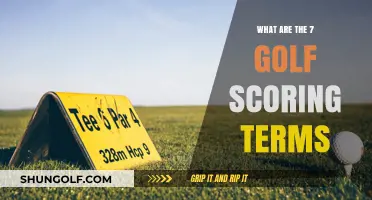 Mastering Golf Scores: 7 Essential Terms Every Golfer Should Know