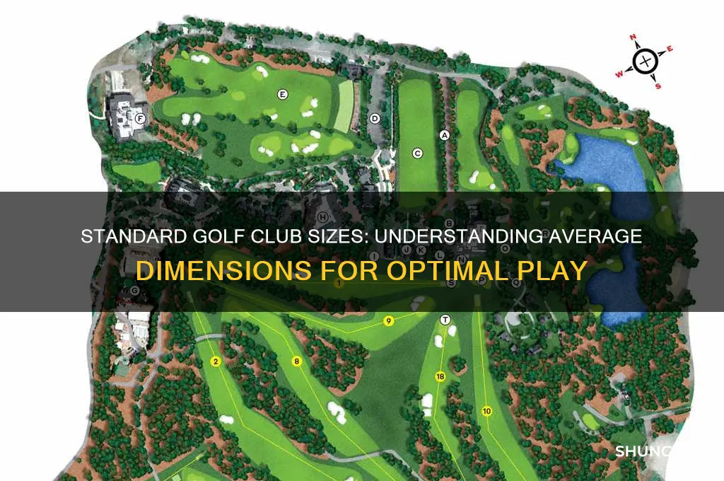 what are the average dimensions of golf clubs