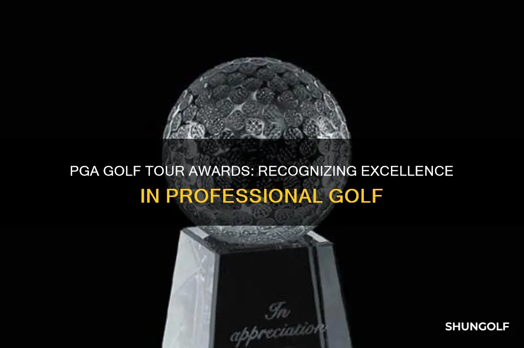 what are the awards for the pga golf tour