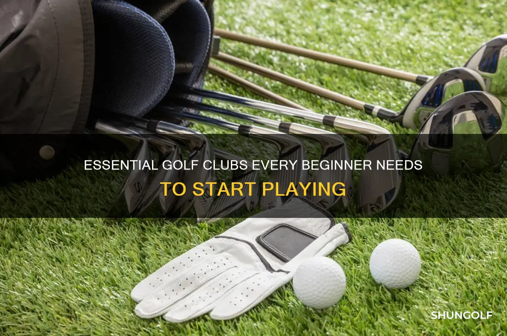 what are the basic golf clubs needed to play