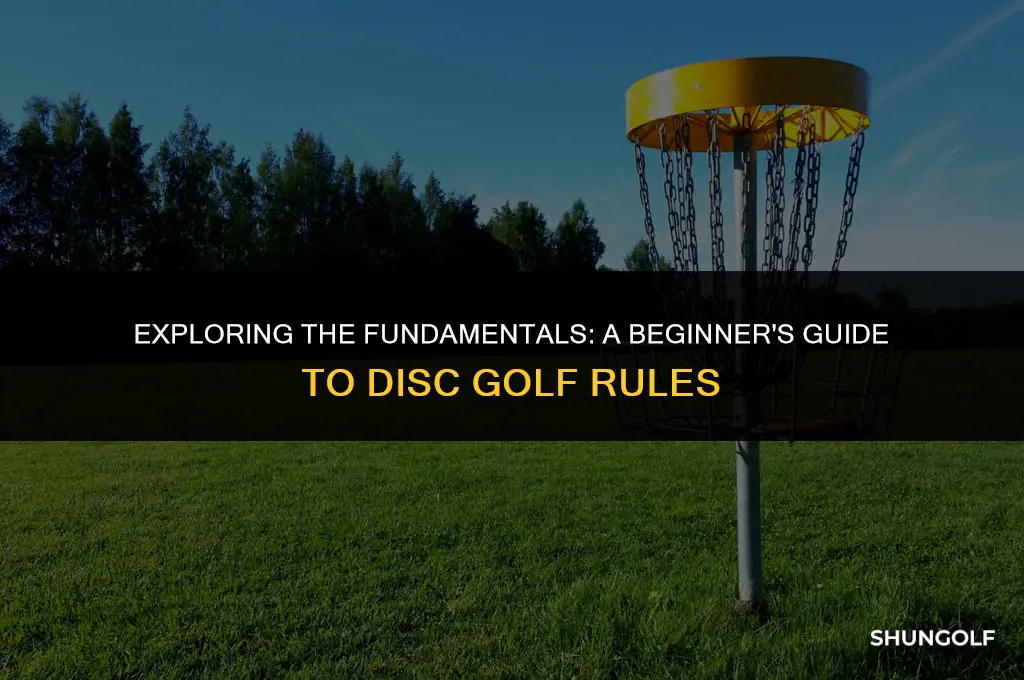 what are the basic rules of disc golf