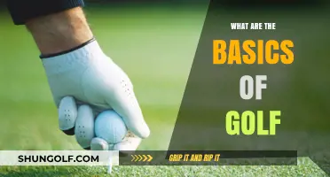 Golf Basics: Getting Started on the Green