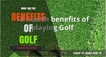 Golf: A Sport for Mind and Body