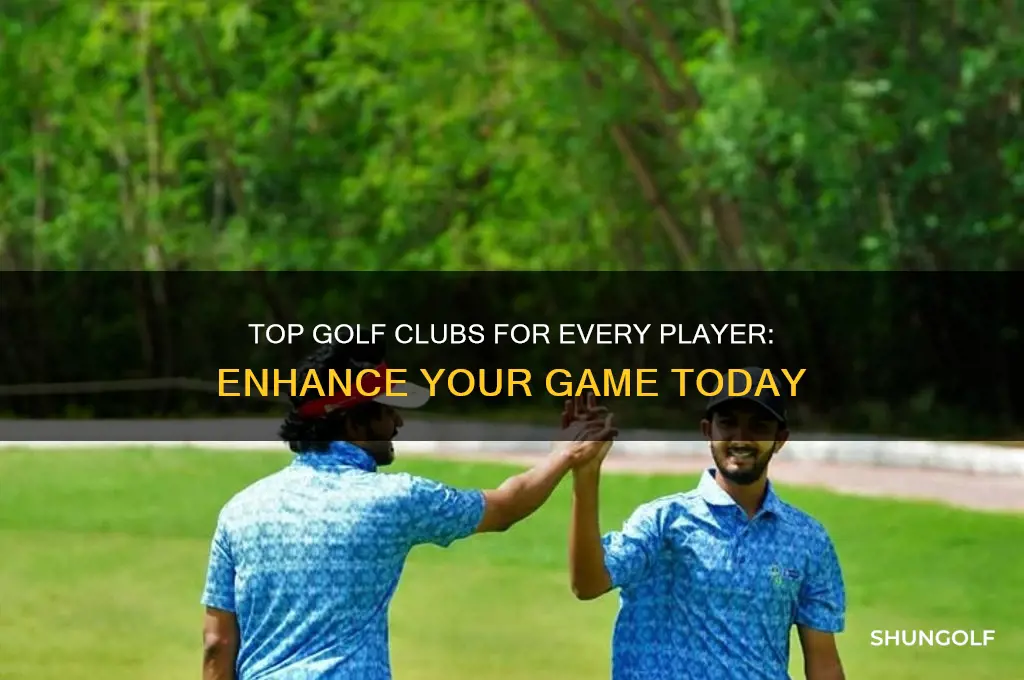 what are the best clubs in golf