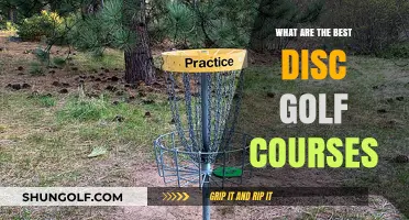 Top Disc Golf Courses: Ultimate Guide to Premier Playgrounds