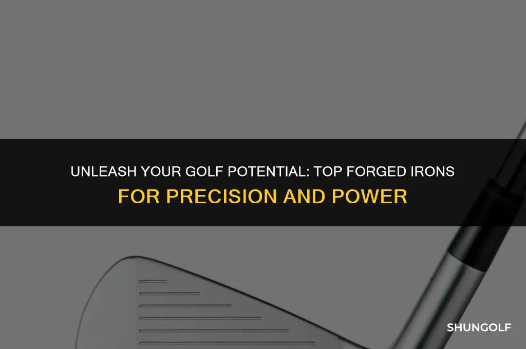 what are the best forged golf irons