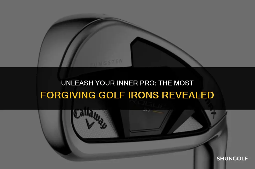 what are the best forgiving golf irons