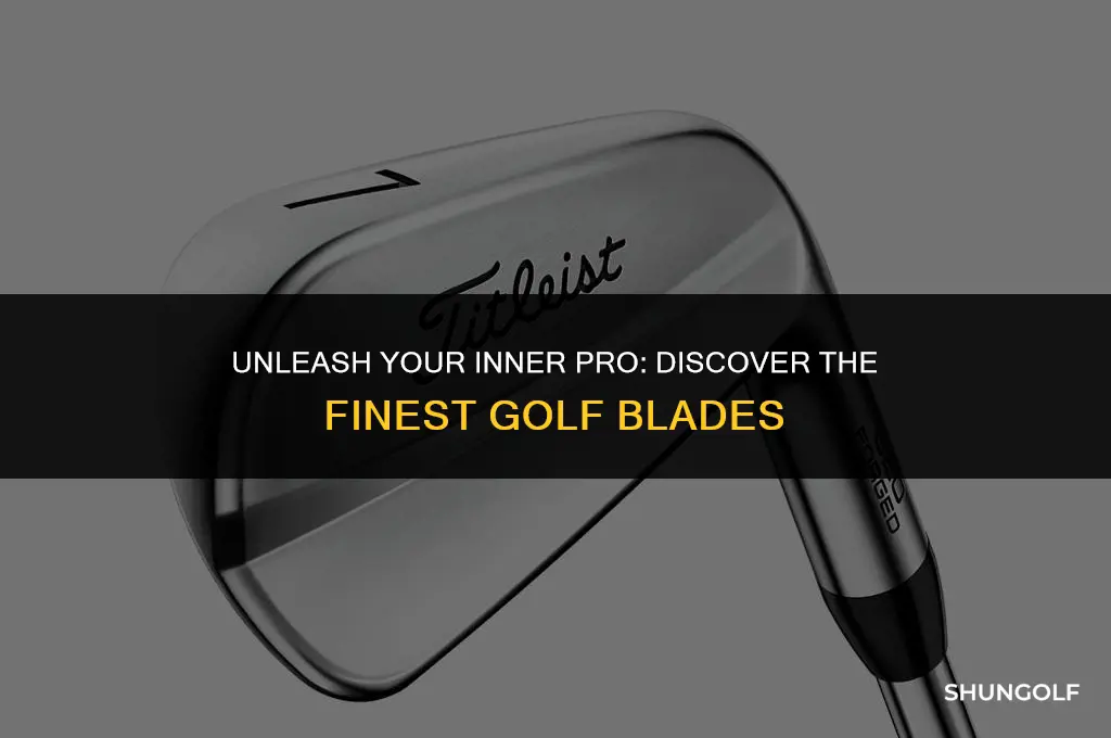 what are the best golf blades