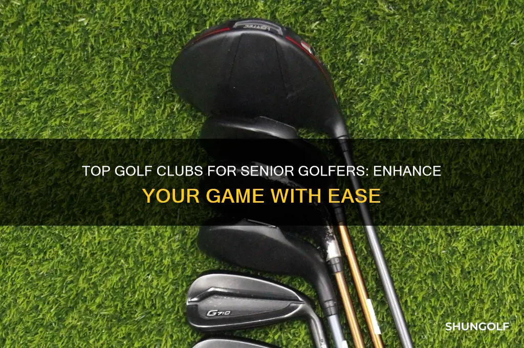 what are the best golf clubs for senior golfers