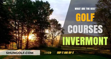 Discover Vermont's Top Golf Courses: A Guide to the Best Greens
