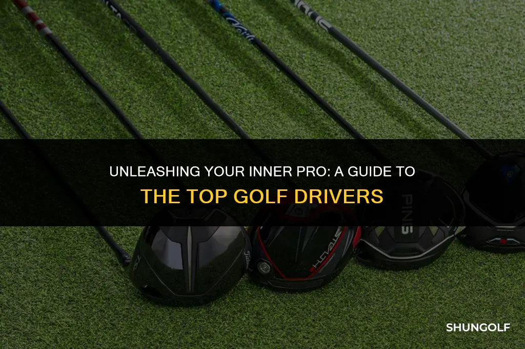 what are the best golf drivers