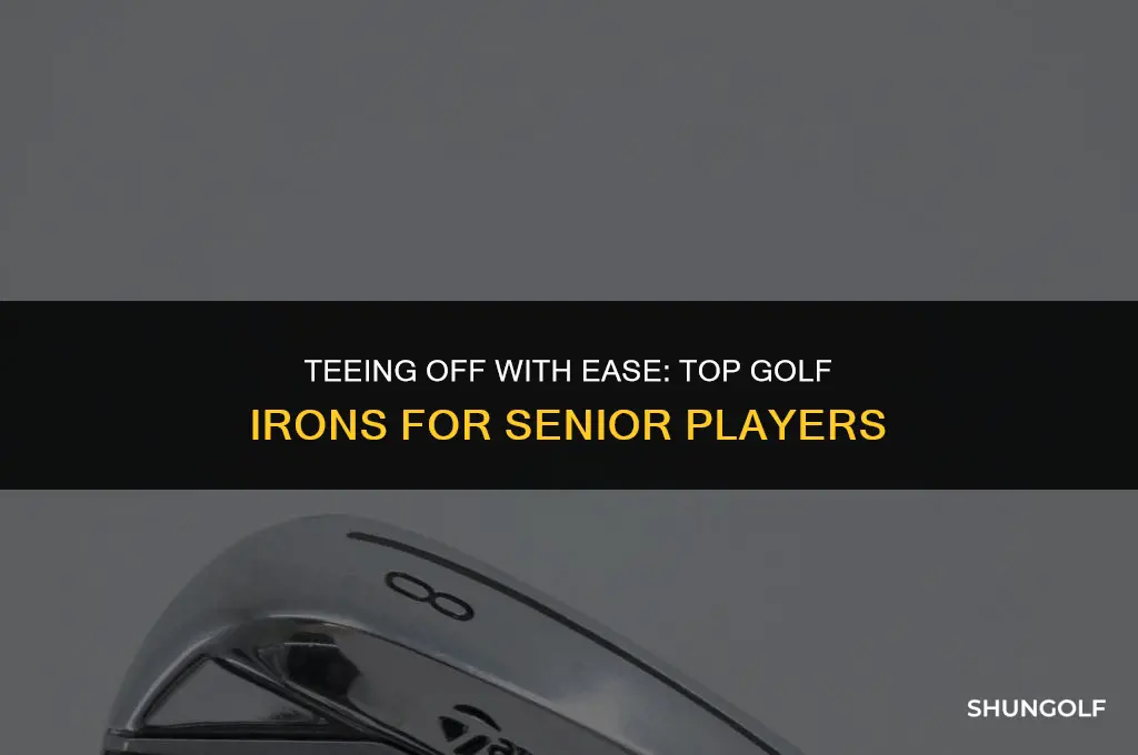 what are the best golf irons for seniors