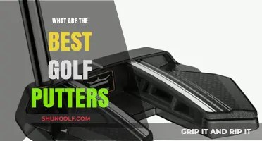 Unleash Your Inner Pro: Discover the Top Golf Putters of 2024