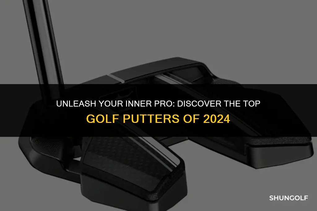 what are the best golf putters