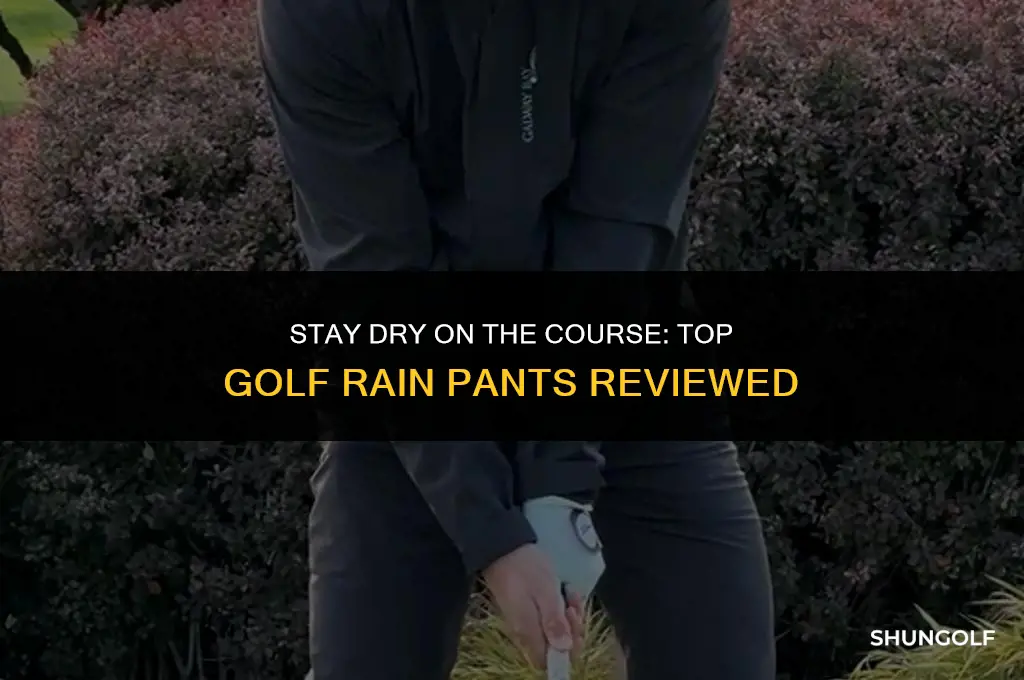 what are the best golf rain pants