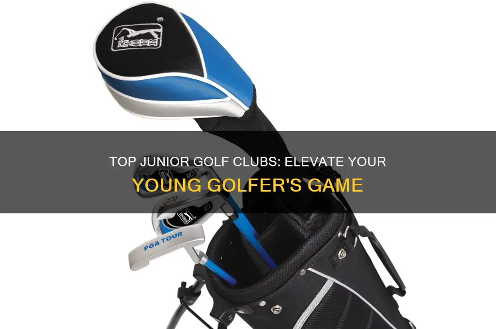 what are the best junior golf clubs