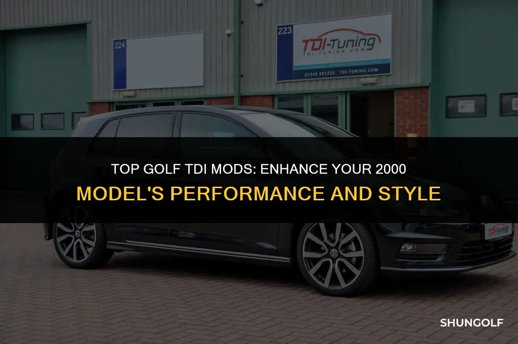 what are the best mods for a 2000 golf tdi