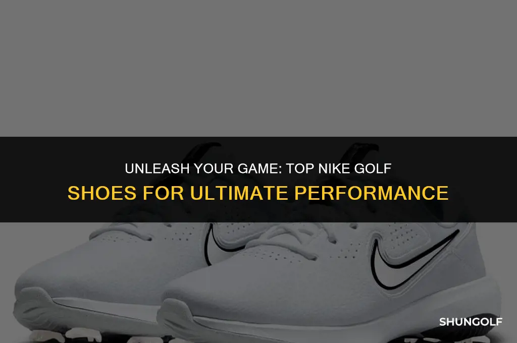what are the best nike golf shoes