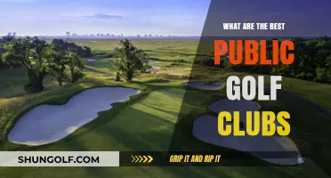 Top Public Golf Clubs: Exceptional Courses for Every Golfer to Enjoy