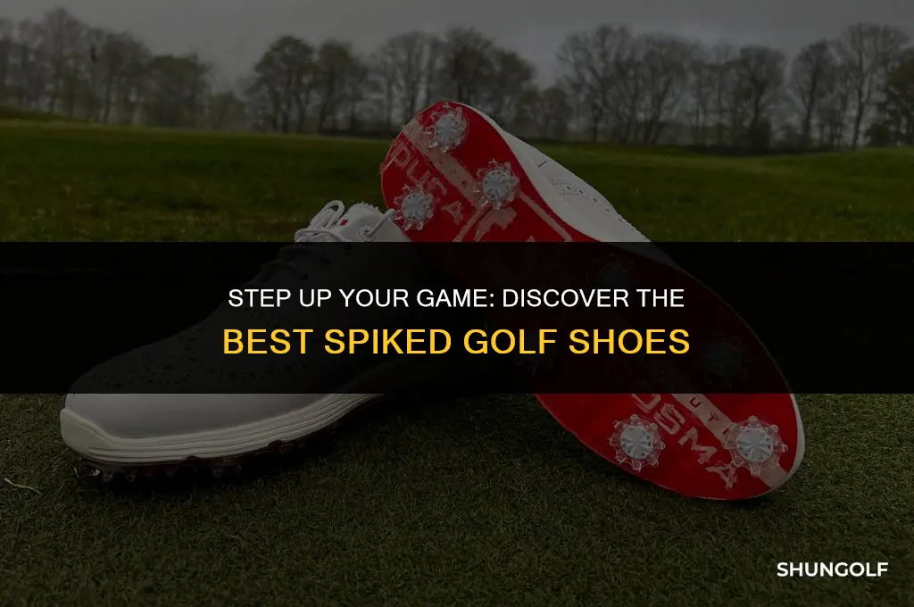 what are the best spiked golf shoes