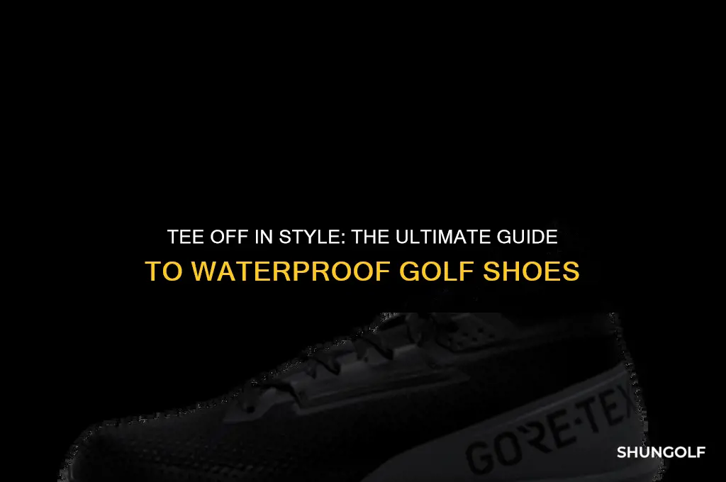 what are the best waterproof golf shoes