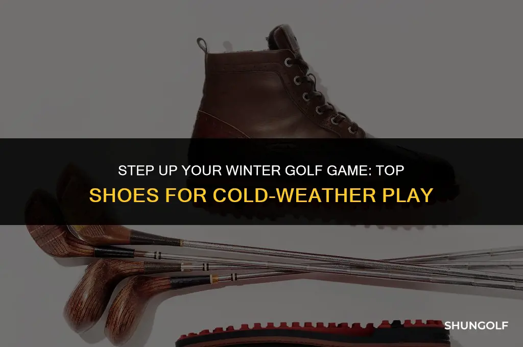 what are the best winter golf shoes