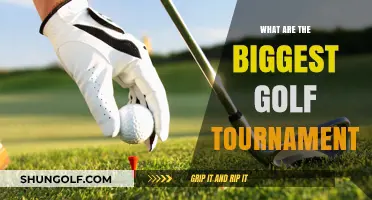Teeing Off at the Majors: Golf's Most Prestigious Tournaments
