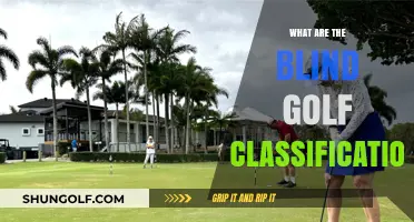 Golfing Blind: Classifications and Their Impact