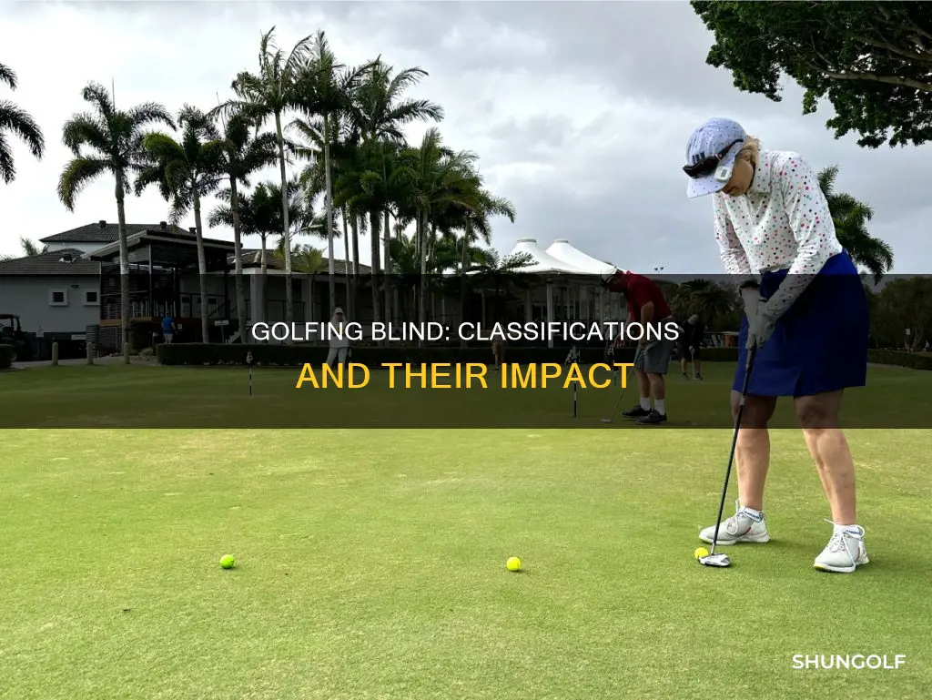 what are the blind golf classifications