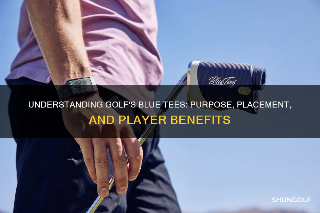 what are the blue tees in golf