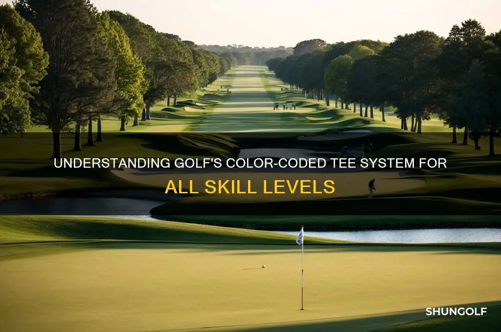 what are the color tees in golf