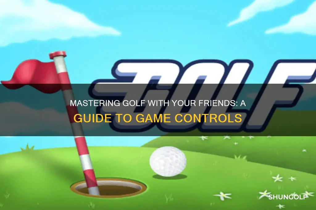 what are the controls for golf with your friends