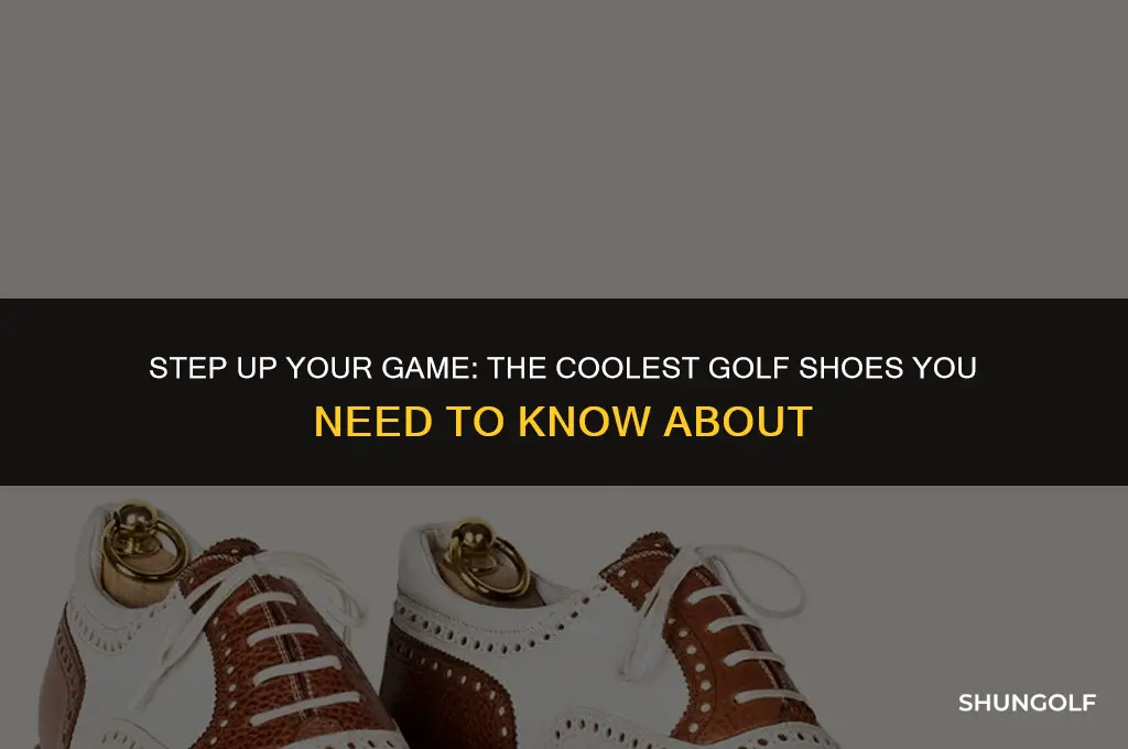 what are the coolest golf shoes