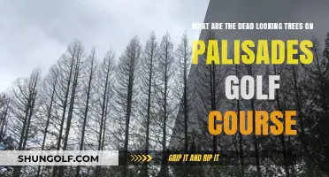 Mysterious Dead Trees on Palisades Golf Course: Causes and Concerns