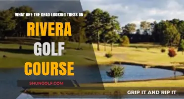 Rivera Golf Course's Dead Trees: Causes and Environmental Impact Explained