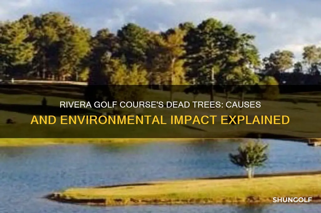 what are the dead looking tress on rivera golf course