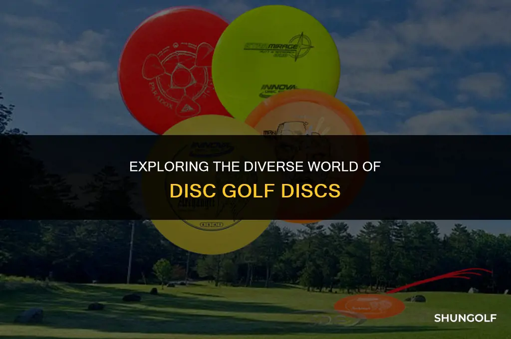 what are the different discs in disc golf