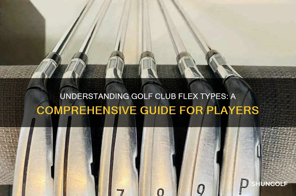 what are the different flex types for golf clubs