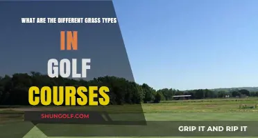 Exploring the Diverse Grass Types on Golf Courses