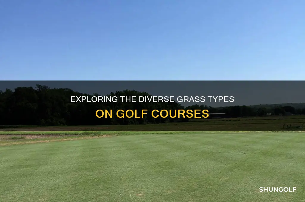 what are the different grass types in golf courses