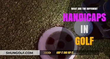 Understanding Golf Handicaps: Types, Calculations, and Their Impact on Play